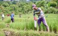 Pasang Patok, Cara Sederhana Cegah Sengketa Tanah dengan Tetangga