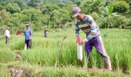 Pasang Patok, Cara Sederhana Cegah Sengketa Tanah dengan Tetangga