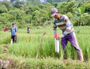 Pasang Patok, Cara Sederhana Cegah Sengketa Tanah dengan Tetangga