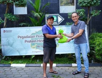 PT Pegadaian Kanwil VII Bali Nusra Salurkan 89 Hewan Kurban dalam Rangka Hari Raya Idul Adha 1447 H