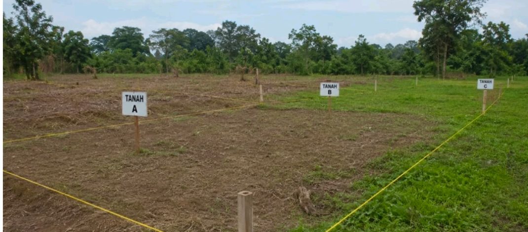Kenali Prosedur dan Syarat Pemisahan Bidang Tanah